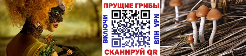 Псилоцибиновые грибы MAGIC MUSHROOMS  купить наркотики цена  Крымск 
