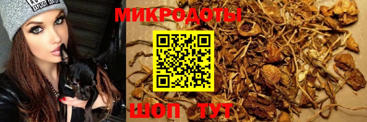 Крымск  Галлюциногенные грибы мухоморы  Вход с VPN 